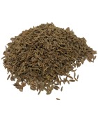 Satvik Whole Shah Jeera, Caraway Seeds, 100g, Premium Quality Whole Shahi Zira